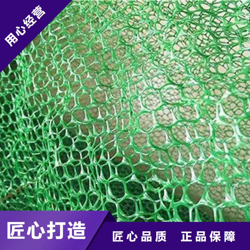 三維植被網_玻纖土工格柵廠家直銷貨源充足產地采購