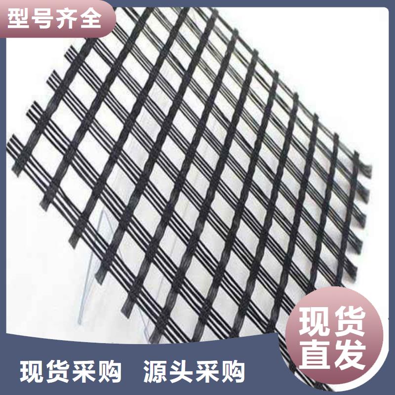玻纖土工格柵三維植被網量大更優惠同城生產商