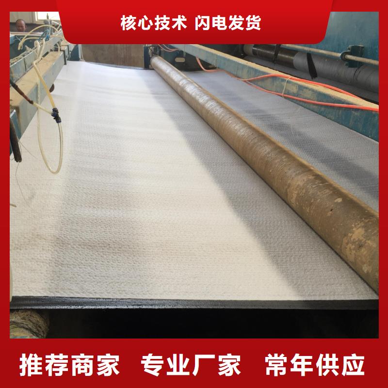 膨潤土防水毯三維復合排水網真實拍攝品質可靠直銷廠家