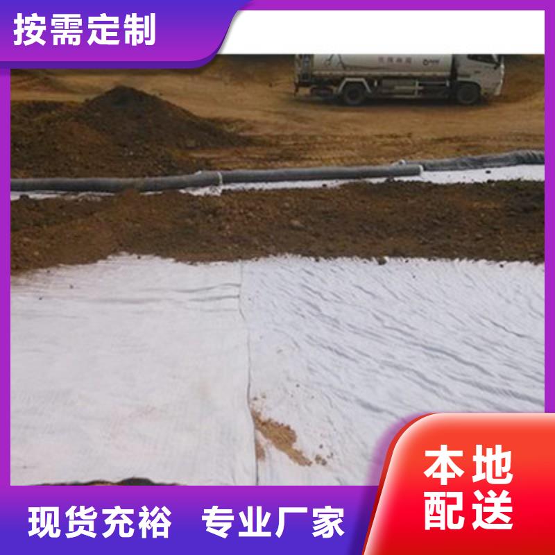 膨潤土防水毯三維復合排水網廠家供應實力才是硬道理