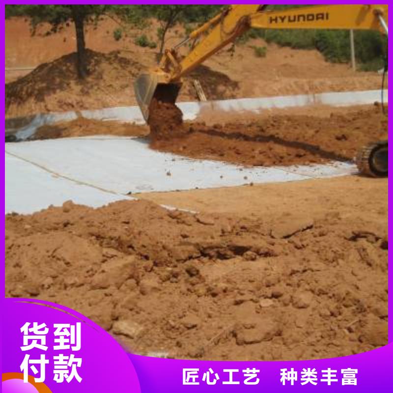 防水毯凸结点钢塑土工格栅专心专注专业好品质经得住考验