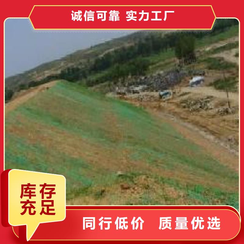 【三维植被网】钢塑土工格栅厂家快速物流发货质量上乘