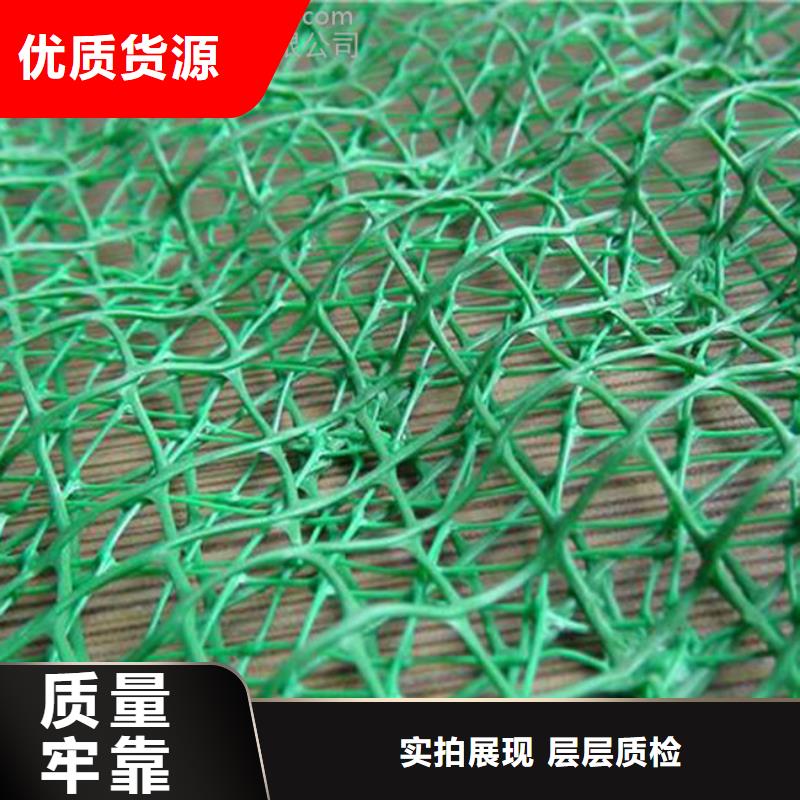 三维植被网短丝土工布用心做好每一件产品附近生产商