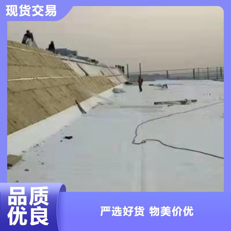 TPOTPO防水卷材讓利客戶當?shù)刎浽?> </div>
            <li><h3>TPOTPO防水卷材讓利客戶當?shù)刎浽?/h3>
            <p>... </p>
			<div   id=