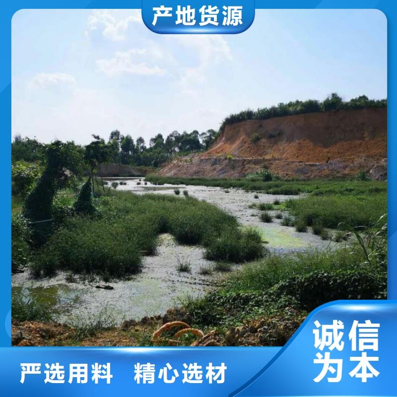 污泥處理土壤固化劑送貨上門同城廠家