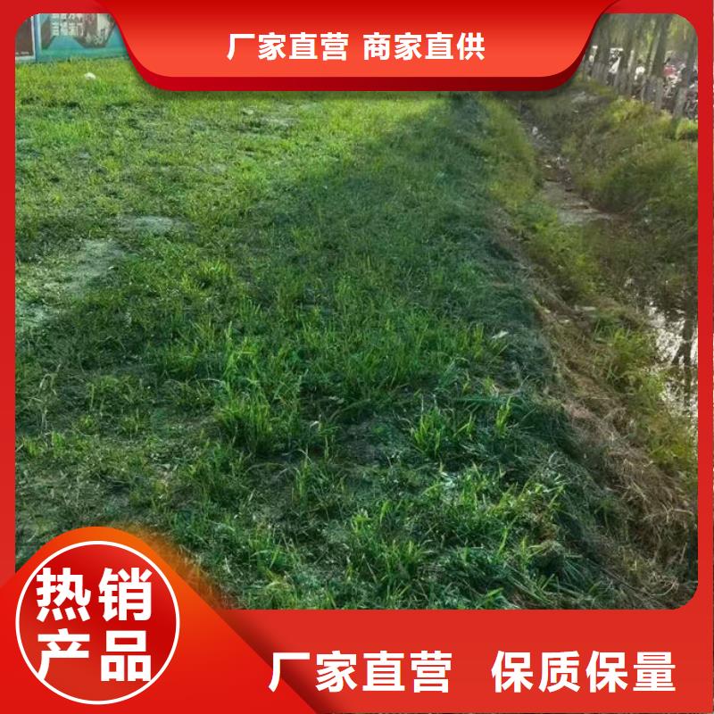 大氣污染治理抑塵劑廠家貨源大品牌值得信賴