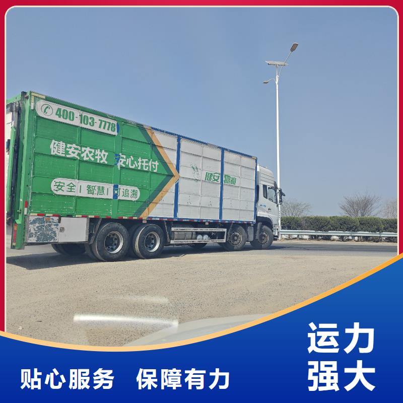 宿遷市泗洪到羊運輸專用車專業(yè)專注本地制造商
