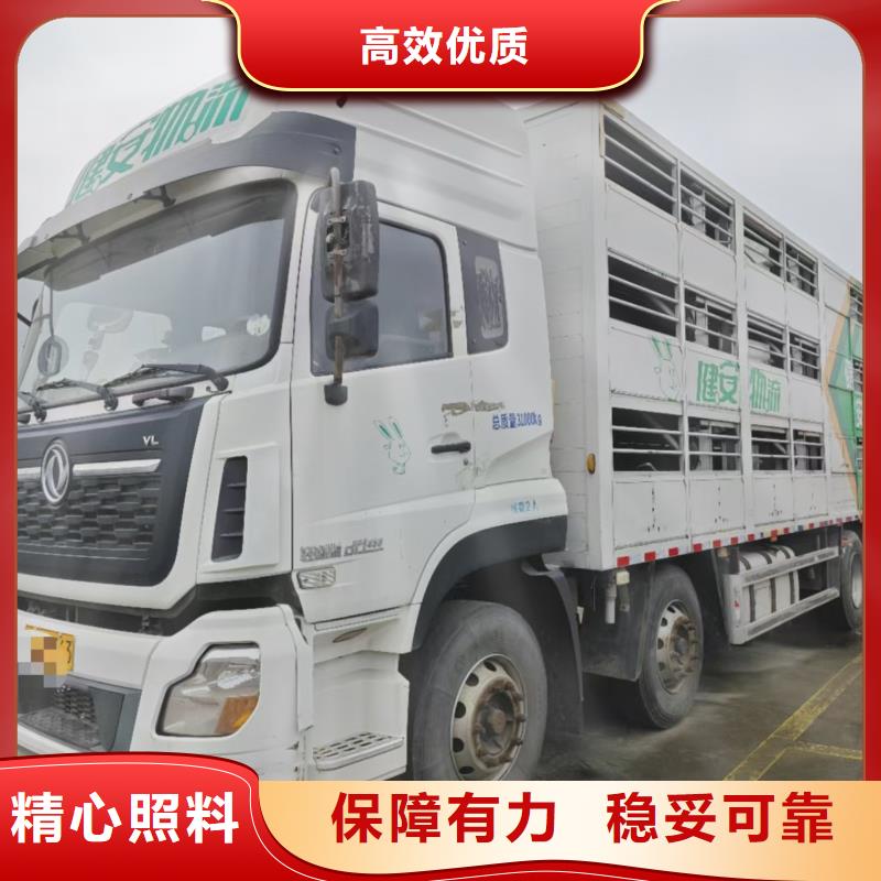 宿遷市到農牧運輸周到細致當地供應商