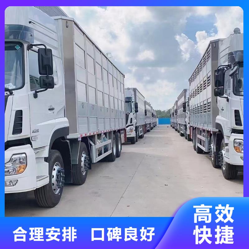 宿遷到豬只貿(mào)易自有運輸車隊高品質(zhì)誠信廠家