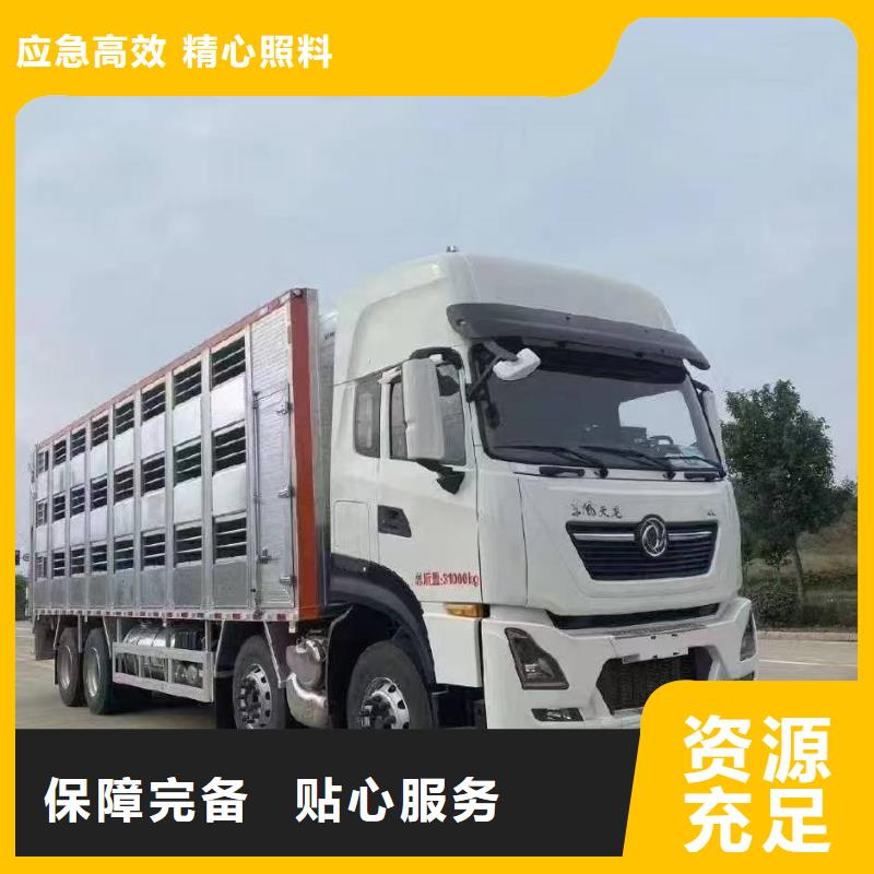 宿遷到生豬空調車運輸服務有保障同城品牌