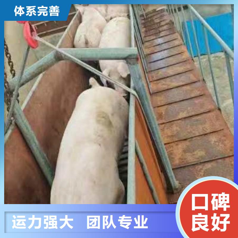 宿遷市到空調(diào)車(chē)運(yùn)輸精心照料當(dāng)?shù)毓?yīng)商