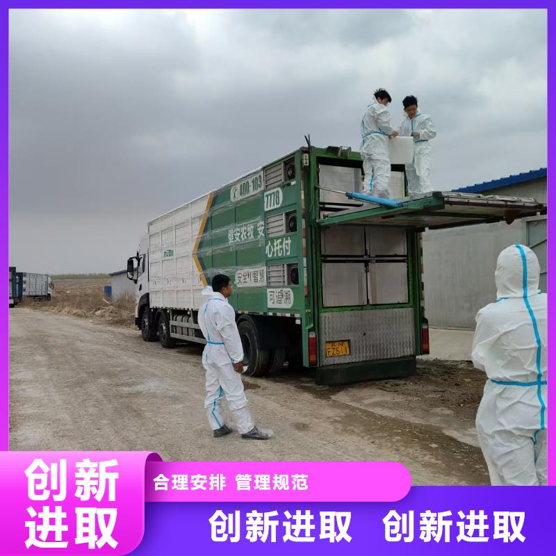 宿遷市到農牧運輸妥善安置好產品放心購