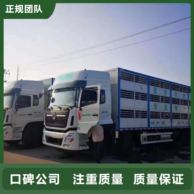 宿遷到宣城活禽運輸