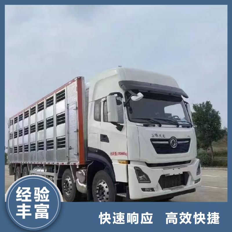 無錫到宜昌活禽運輸-空調車品質服務