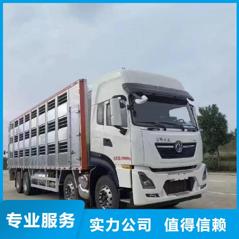 泗洪到宣城豬牛羊運輸