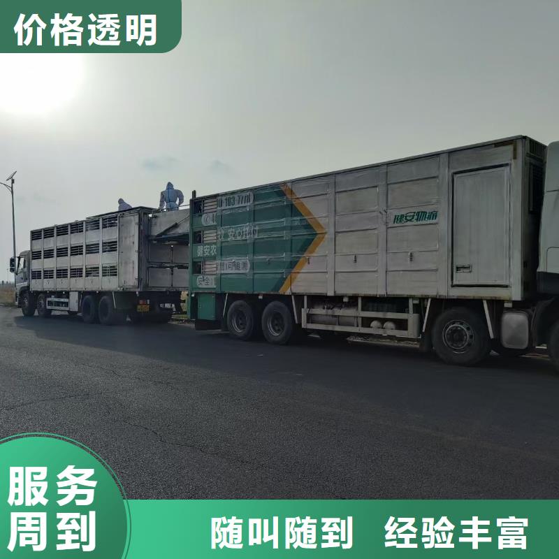 鎮江到上海豬籠車運輸-空調車歡迎合作