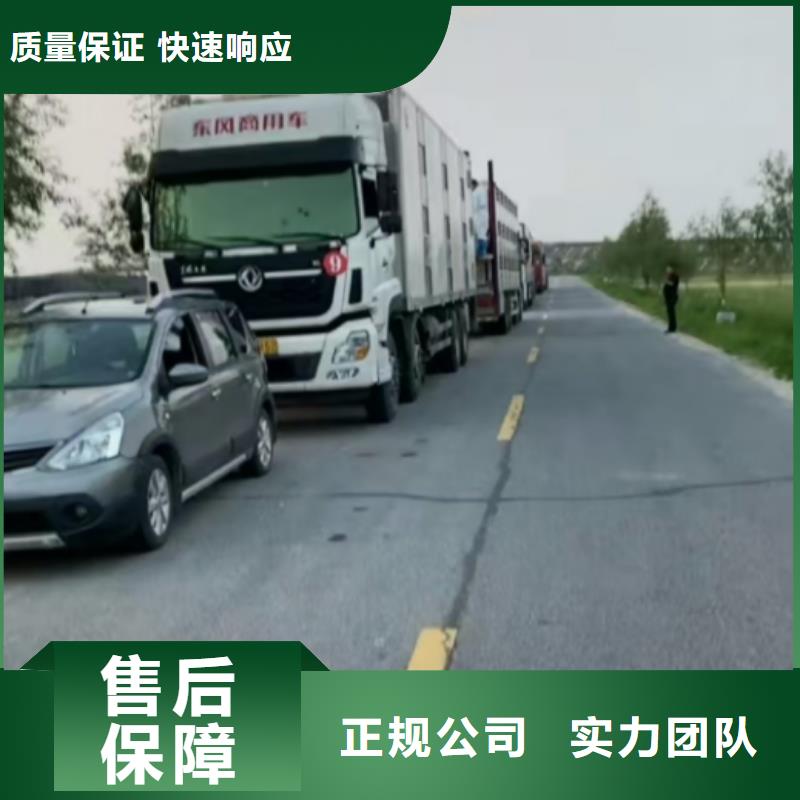 鹽城到克拉瑪依活禽物流-恒溫車資質(zhì)齊全