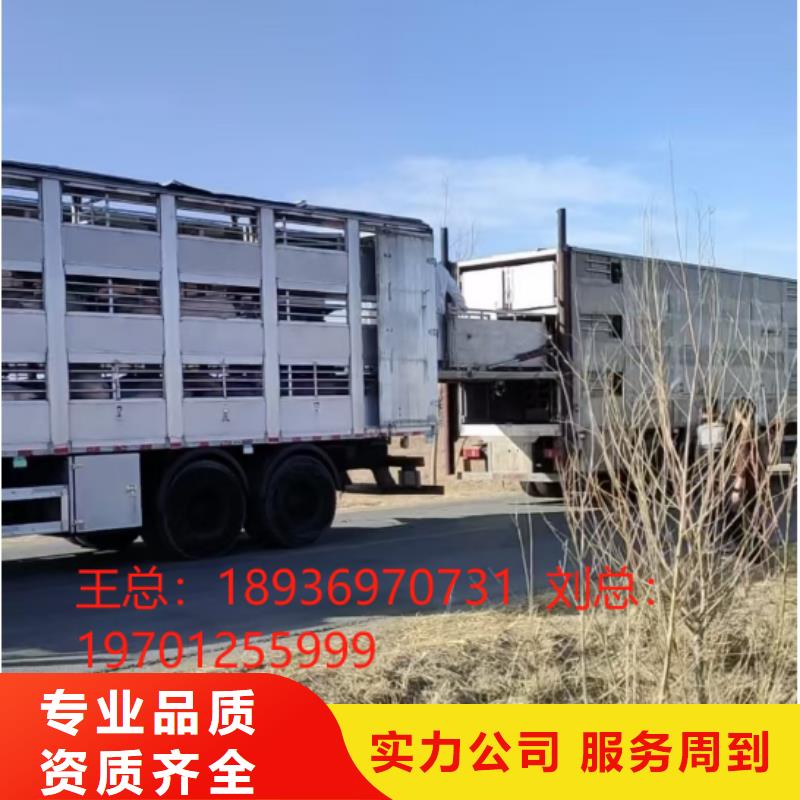 宿遷到南通生豬運(yùn)輸
