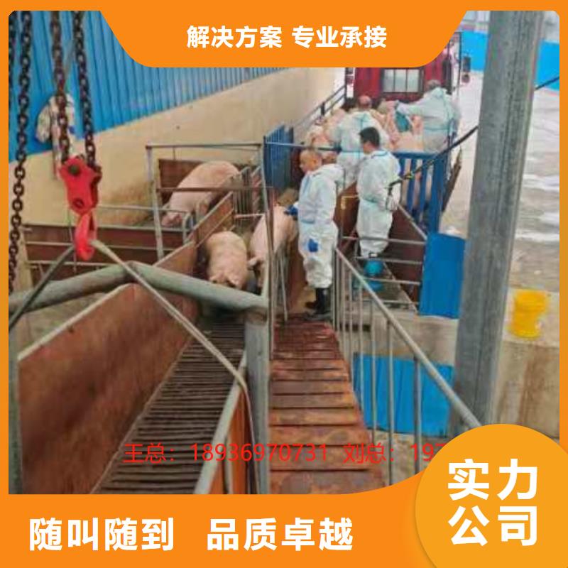 連云港到寶雞種仔豬運(yùn)輸-專用車收費(fèi)合理