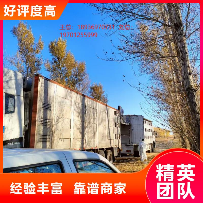 鎮江到六盤水高欄車肥豬運輸-專用車解決方案