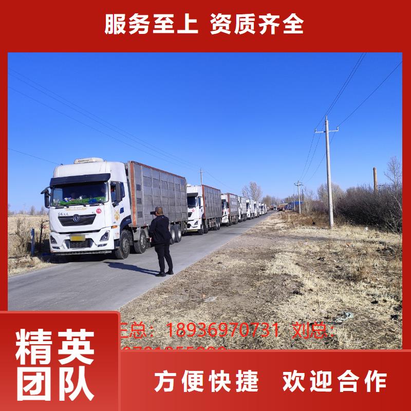 連云港到克拉瑪依生豬運(yùn)輸-專用車多年經(jīng)驗(yàn)