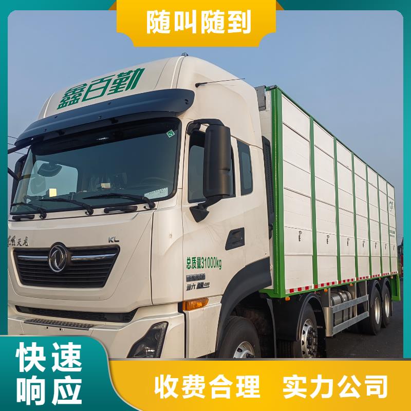 泗洪到荊州豬牛羊運輸-恒溫車全程呵護