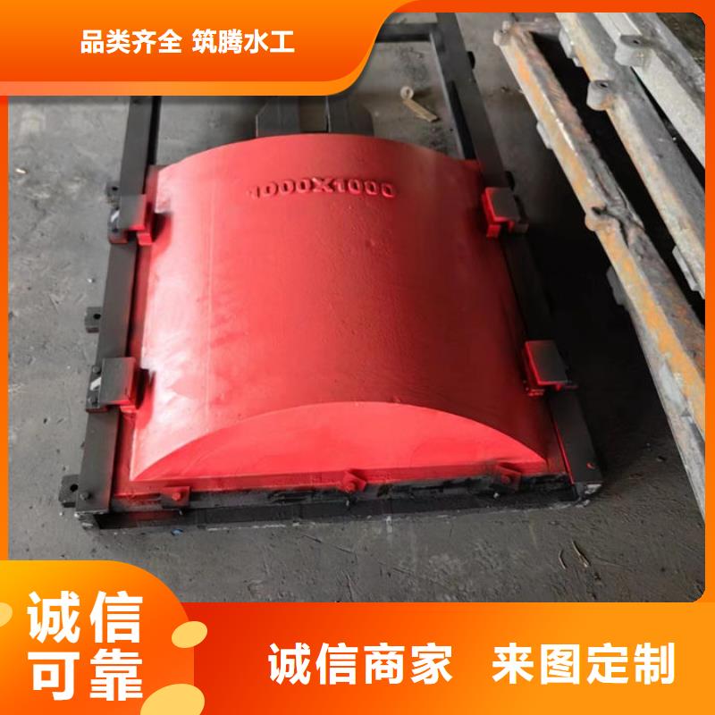 機閘一體式閘門工廠直供廠家質量過硬