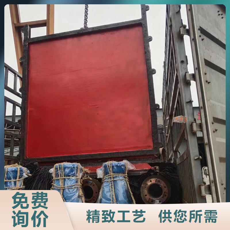 #閘門(mén)鋼制閘門(mén)#規(guī)格全源頭廠源頭貨