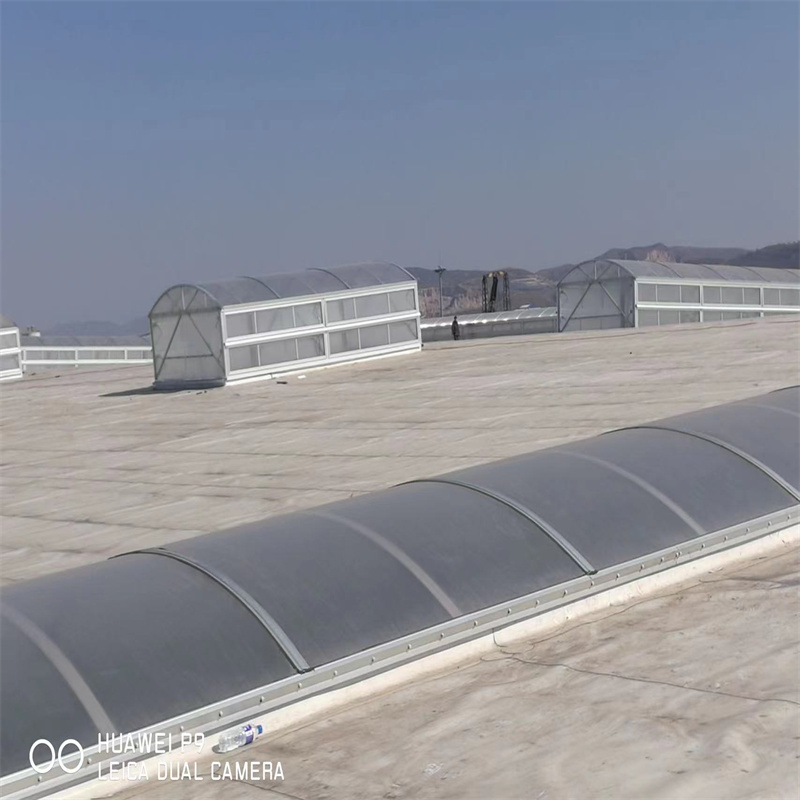 TC5A通風天窗承接當地制造商