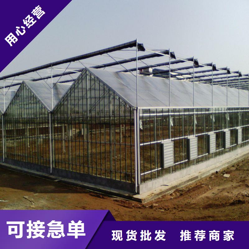 新豐縣火龍國大棚咋買同城經銷商