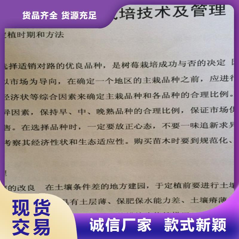樹莓-蘋果苗產地貨源價格透明