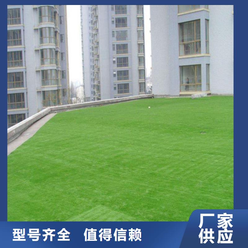 人造草坪橡膠跑道材料實(shí)力廠商優(yōu)良材質(zhì)