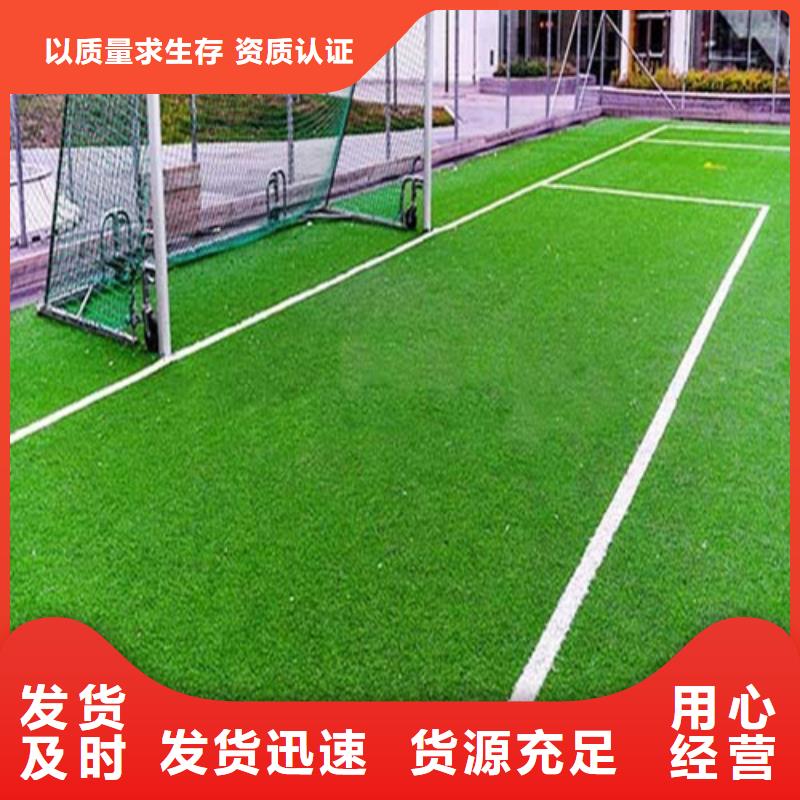 湖南北湖球場人造草坪貨源