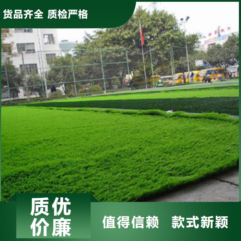 山東沂南綠草地人造草坪來電咨詢