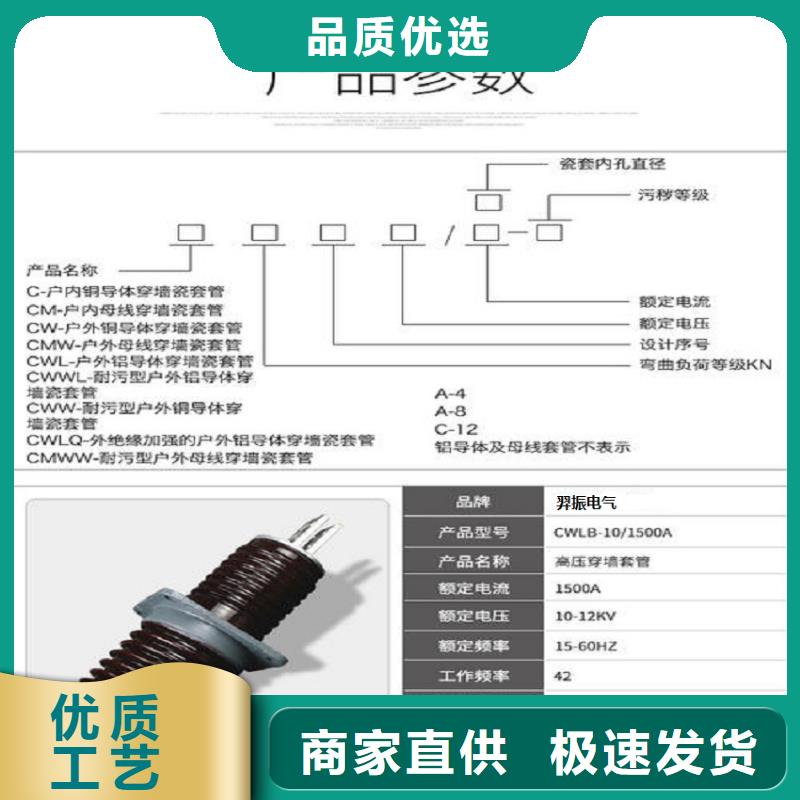 CWL-40.5KV/1250A一手货源源头厂家