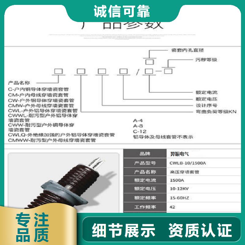 【羿振电气】AC35KV交流穿墙套管.陶瓷1250A无CT铜厂家实力大