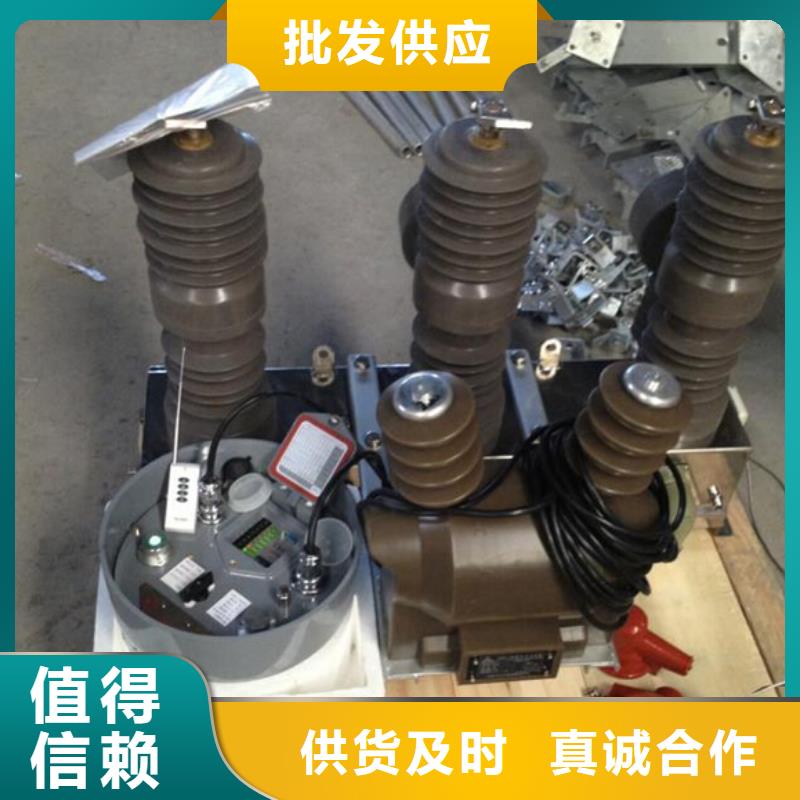 品牌【羿振電氣】柱上斷路器ZW32-12G/T630-25
