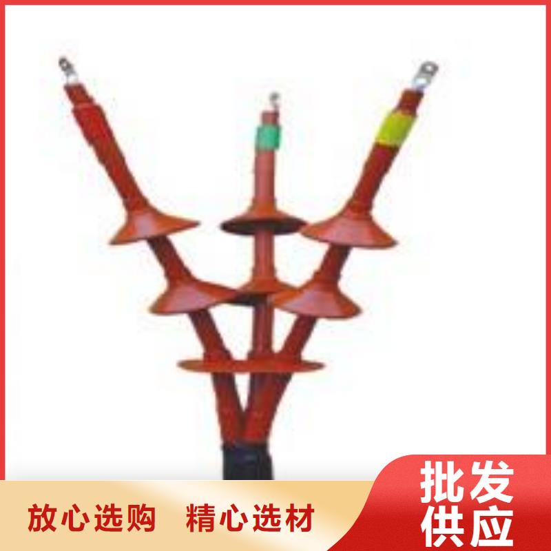 10KVLSN-3/2戶內(nèi)冷縮電纜終端頭_隴南