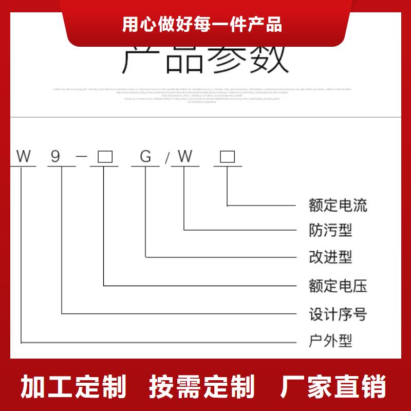 【隔离刀闸】单极隔离开关GW9-10G(W)/200A单柱立开,不接地,操作型式:手动附近公司