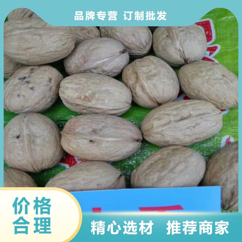 香玲核桃苗適應土地用心經營