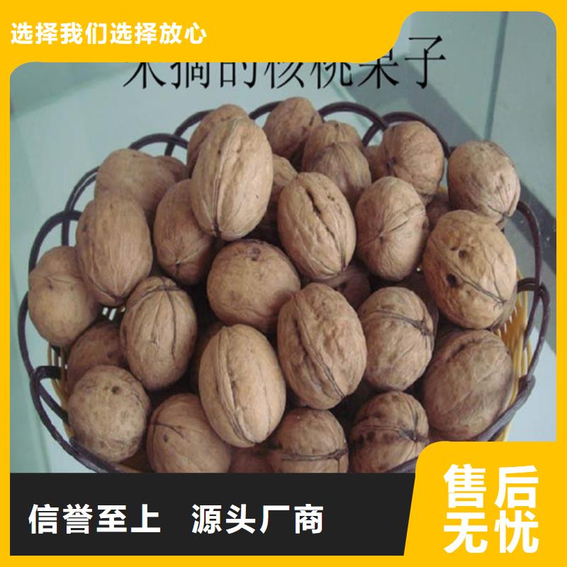 核桃苗甜柿子樹苗安裝簡單同城公司