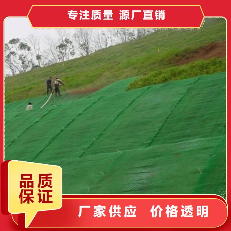 三维植被网【膨润土防水毯】对质量负责当地厂家