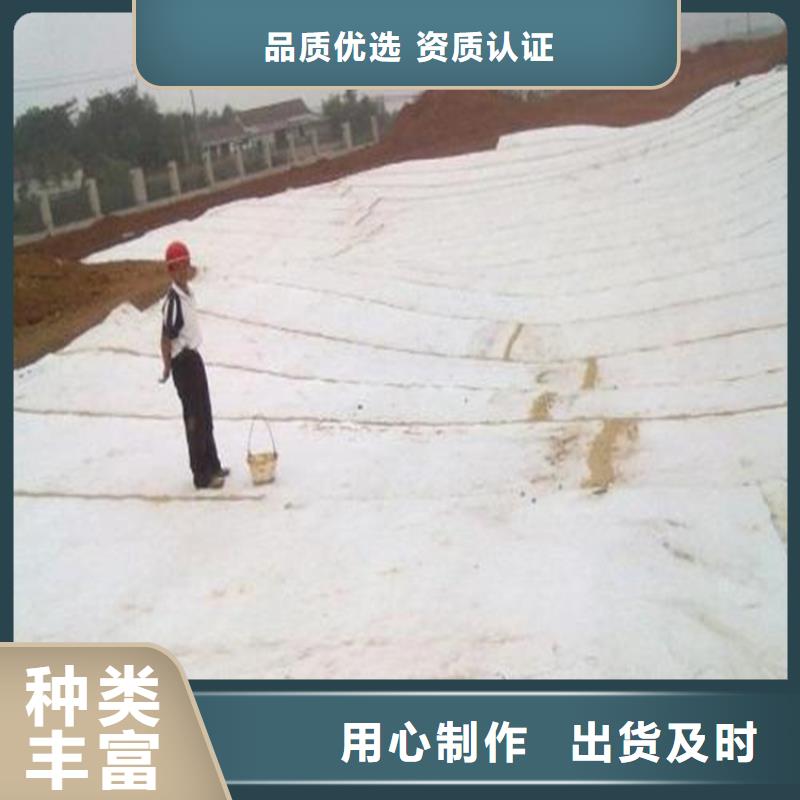 膨潤土防水毯,防水板放心購本地廠家
