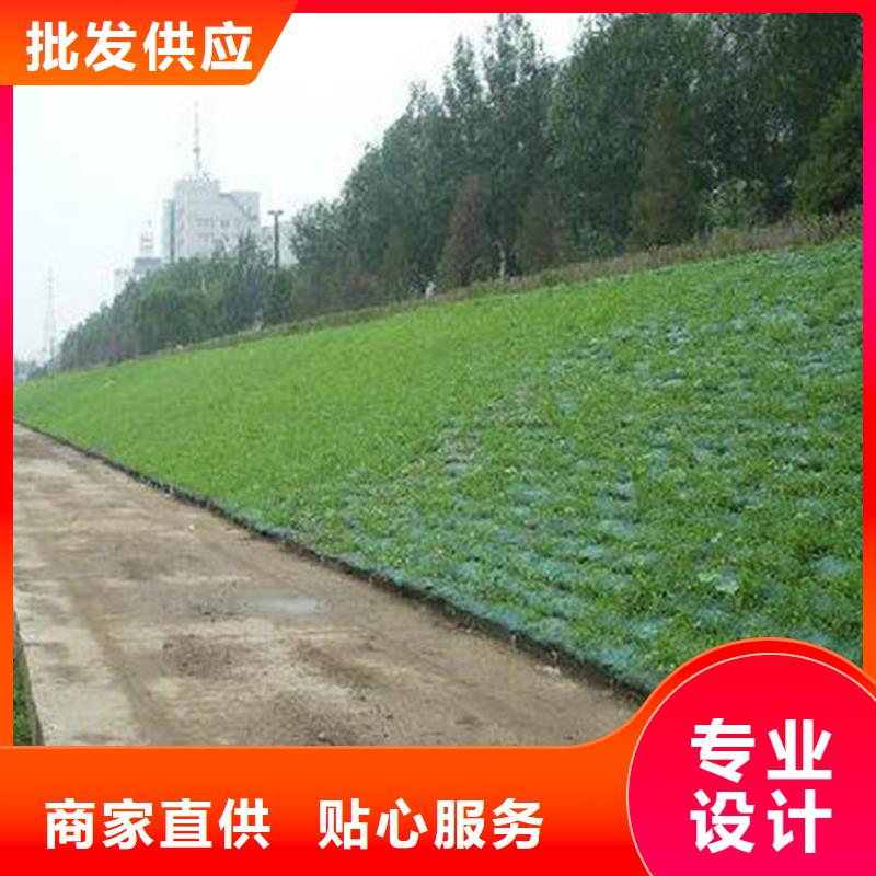 三維植被網(wǎng)HDPE土工膜質(zhì)量三包當(dāng)?shù)亟?jīng)銷商