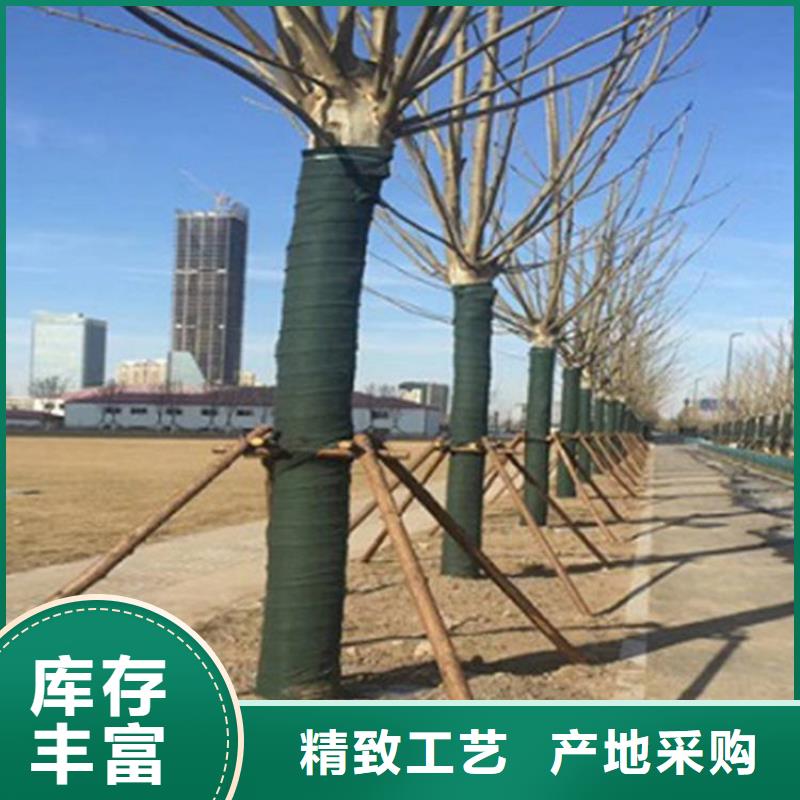 裹樹布_HDPE復合排水板值得買本地服務商