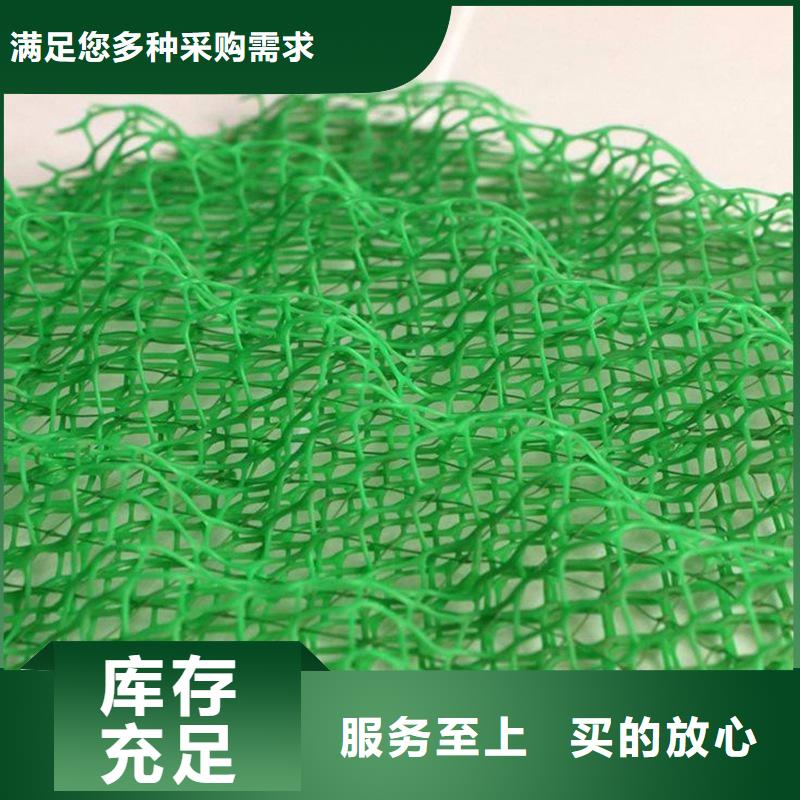 【三維植被網_止水銅片廠家合作共贏】廠家售后完善