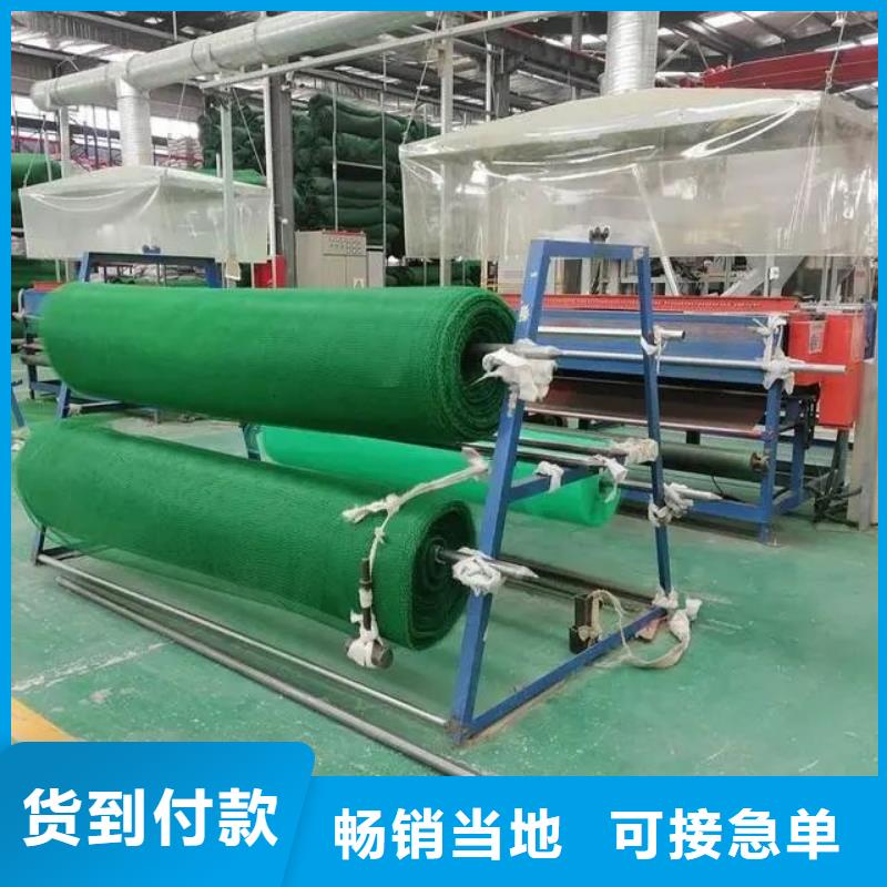 三維植被網【聚乙烯醇纖維】現貨直發追求細節品質