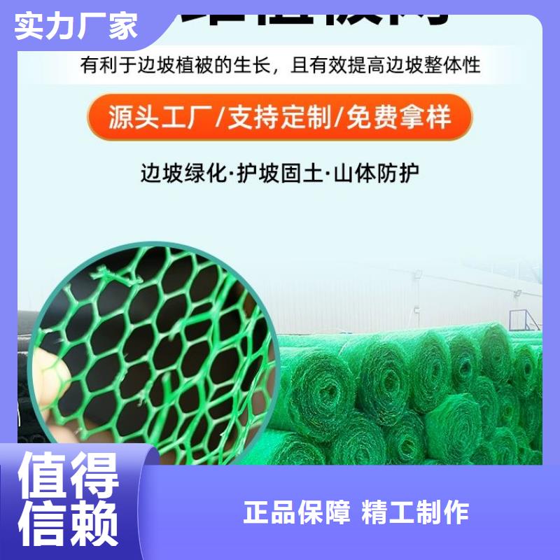 三維植被網止水銅片廠家每一處都是匠心制作本地生產廠家