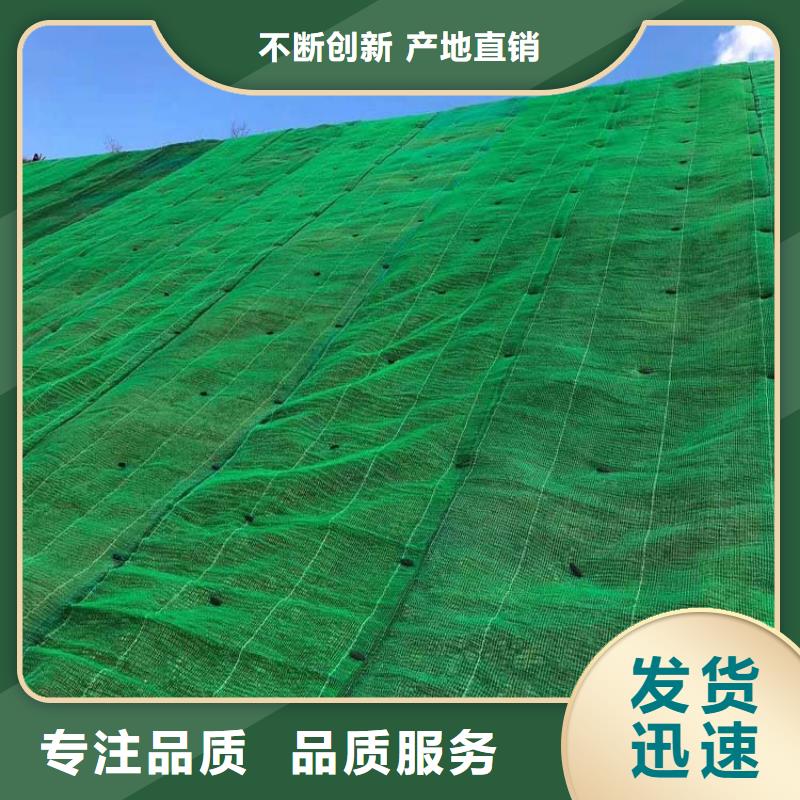 三維植被網塑料盲管高品質現貨銷售質量安心