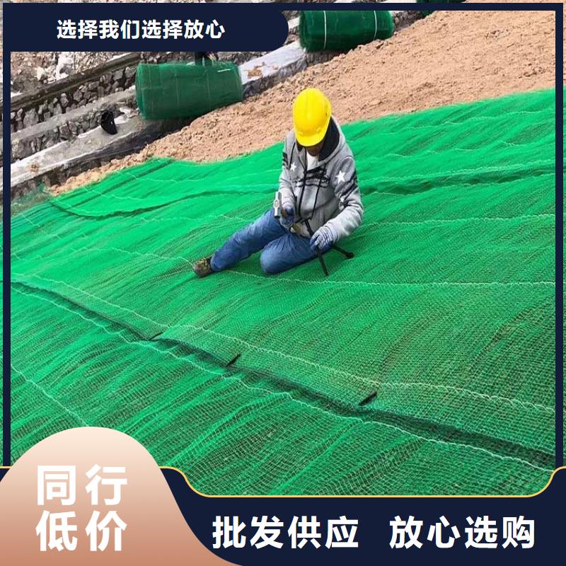 三維植被網止水紫銅片采購多種優勢放心選擇
